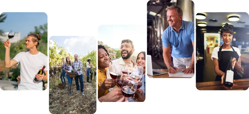 Création site web e-commerce vignerons domaine viticole vignobles Strasbourg Colmar Alsace